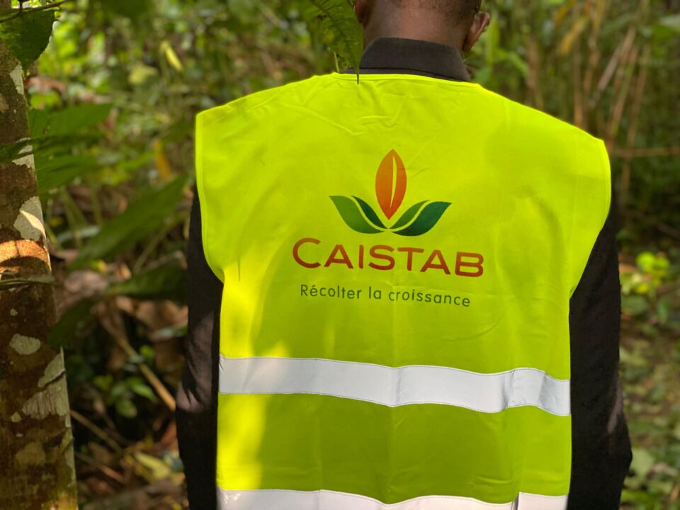 La CAISTAB ambitionne de repenser les mécanismes de valorisation du cacao et du café gabonais