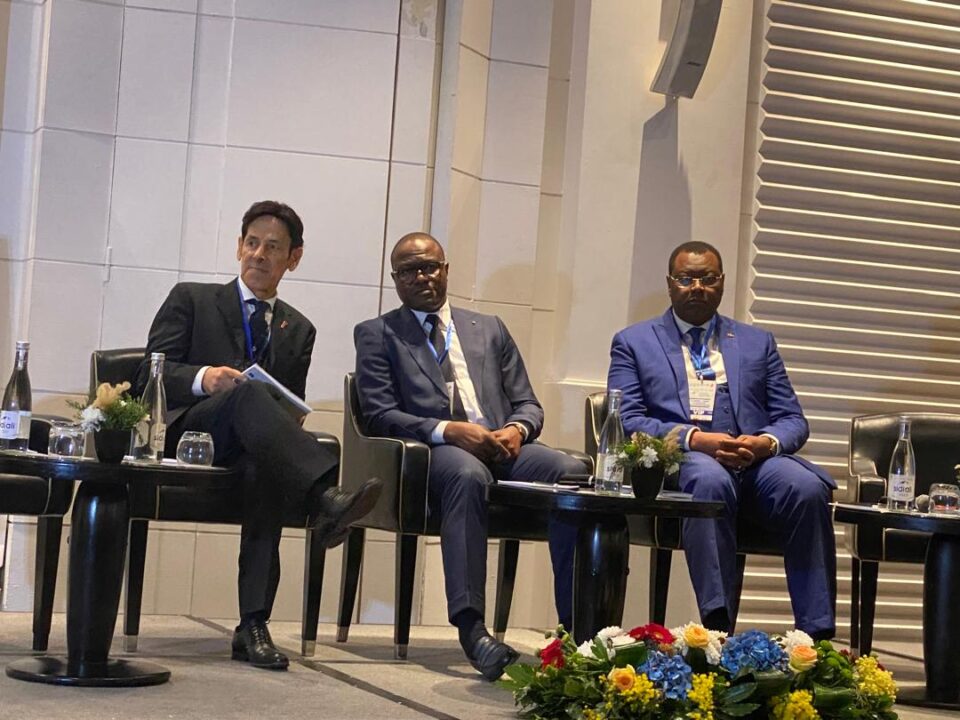 La valorisation du savoir-faire gabonais : l’exemple de la pharmacopée traditionnelle